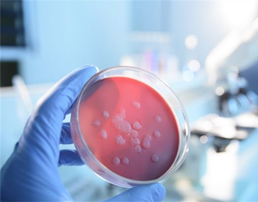 微生物检测无菌室操作流程